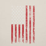Patriot FlynnLock with Pledge of Allegiance